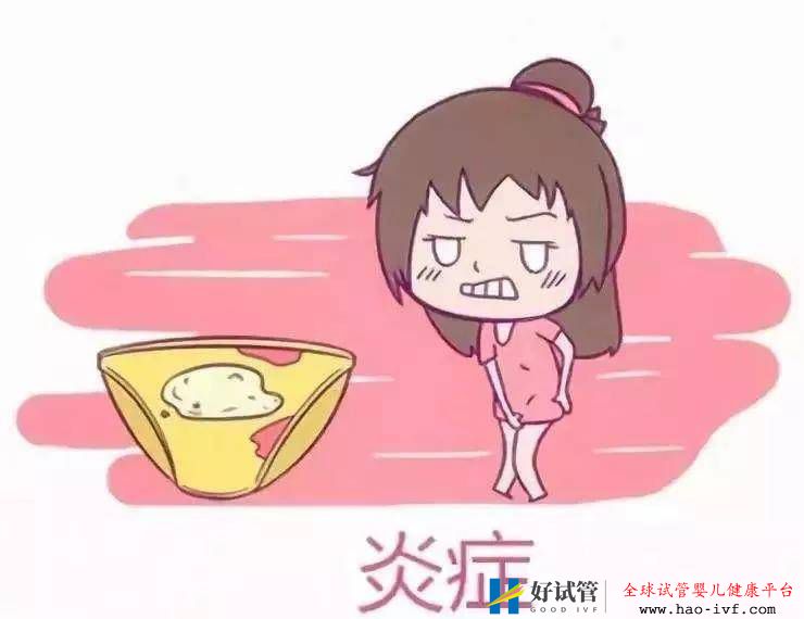 十女九“炎”,但如果影响试管成功率怎么办?(图1) 十女九“炎”,但如果影响试管成功率怎么办?(图1)