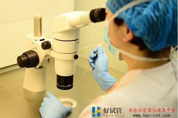海外试管婴儿取卵流程及注意事项(图2) 海外试管婴儿取卵流程及注意事项(图2)