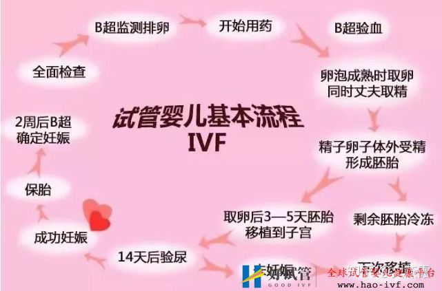 试管婴儿全流程介绍(图2) 试管婴儿全流程介绍(图2)