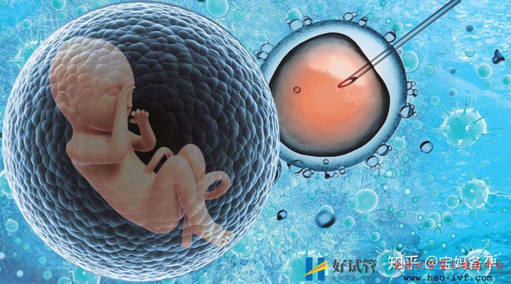 做试管婴儿对身体有什么危害(图1) 做试管婴儿对身体有什么危害(图1)