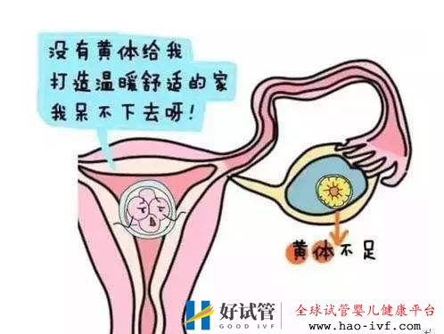 女性黄体功能不全可以选择试管婴儿吗(图1) 女性黄体功能不全可以选择试管婴儿吗(图1)