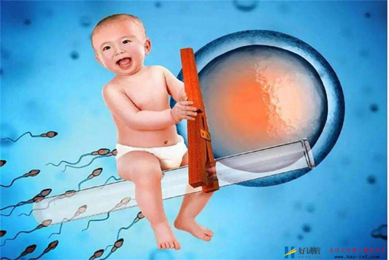 试管婴儿和普通婴儿有啥差别?没你想得那么复杂,了解一下涨知识(图1) 试管婴儿和普通婴儿有啥差别?没你想得那么复杂,了解一下涨知识(图1)