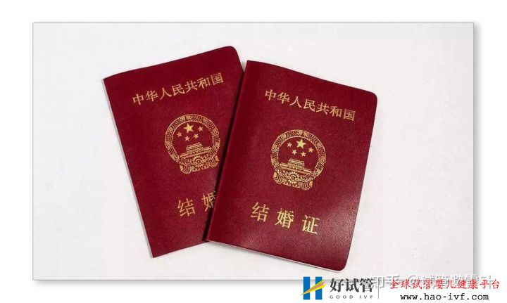 试管婴儿需要什么条件才可以做——系列文1最全面...(图5) 试管婴儿需要什么条件才可以做——系列文1最全面...(图5)