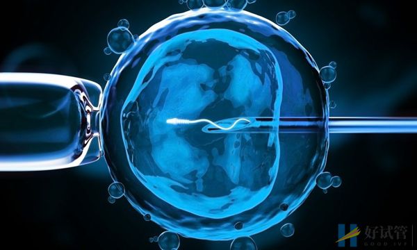 中国福利会国际和平妇幼保健院(上海国妇婴)(图4) 医院试管婴儿成功率