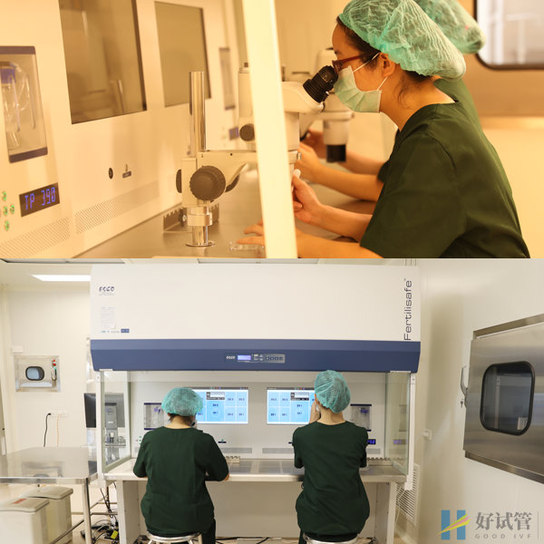 泰国皇家生殖遗传医院(RFG)(图3) 胚胎实验室