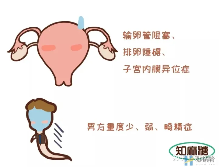 试管婴儿长方案需要多少天(什么是“试管婴儿”?)深度揭秘(图3) 试管婴儿长方案需要多少天(什么是“试管婴儿”?)深度揭秘(图3)