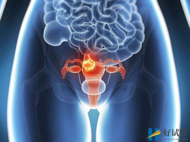 保山第三代试管婴儿的费用,大概多少钱?(图1) 保山第三代试管婴儿的费用,大概多少钱?(图1)