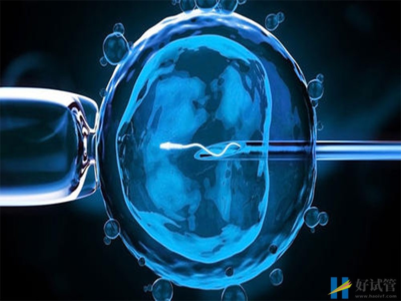 甘孜试管移植后盐酸屈他维林片要吃多久(图1)