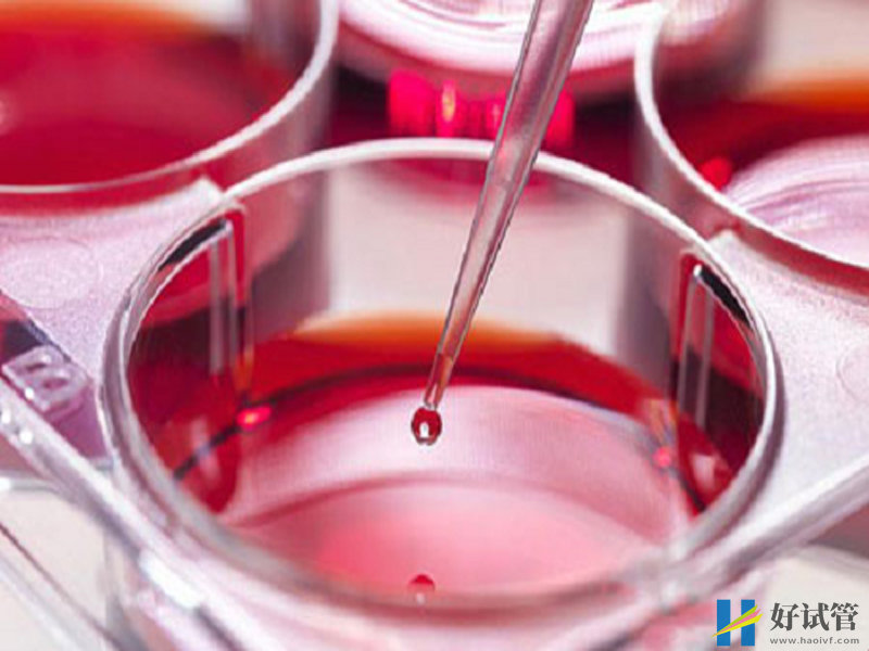 人绒毛膜促性腺激素(HCG)是什么?有什么作用?(图1) HCG与激素有交叉反应