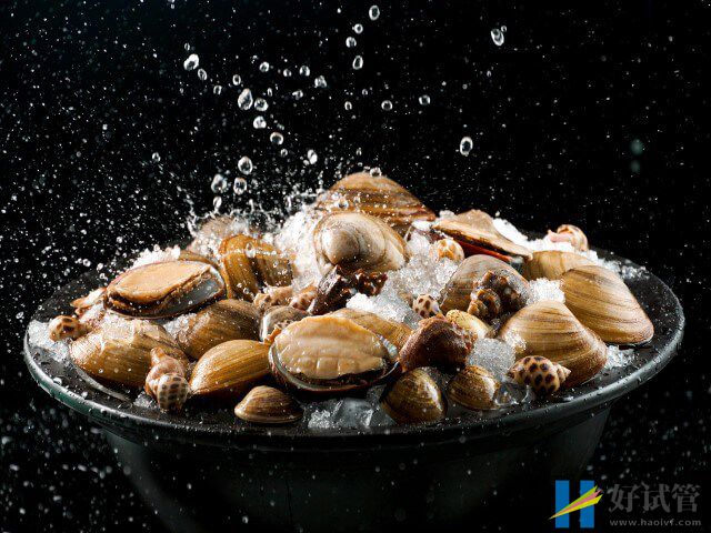 做完试管移植手术当晚可以吃海鲜吗?(图1) 试管移植后只要不过敏就可吃海鲜