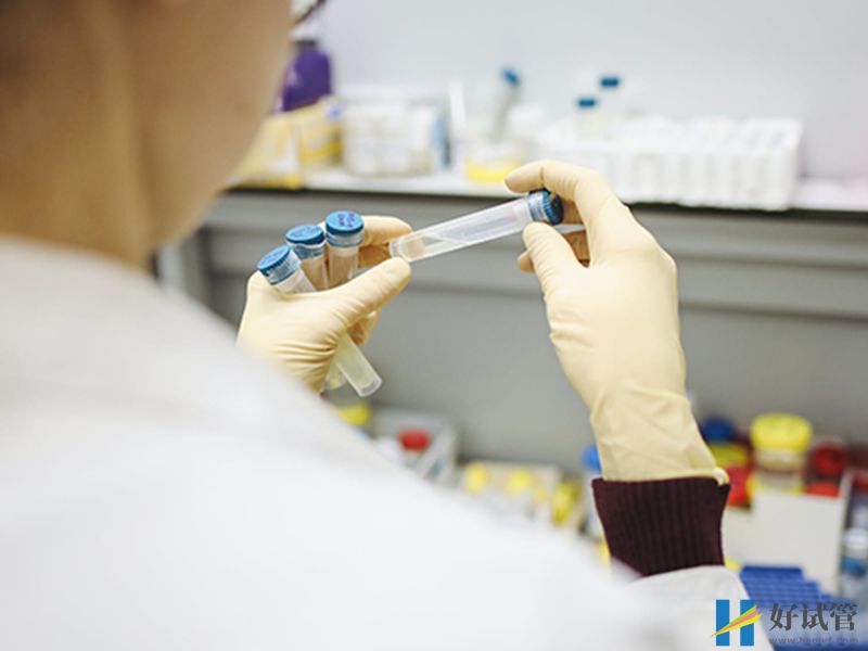 试管养囊胚5天和6天哪个成功率会更高?(图1) 第五天囊胚比第六天好