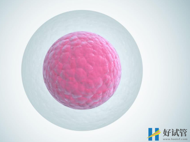 试管婴儿7大步骤详解,最关键最难的一关并非移植(图3) 胚胎培养需要三至五天