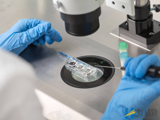 香港人工授精生男孩费用明细表,看了就明白并不贵!(图4) 香港人工授精不能选男孩