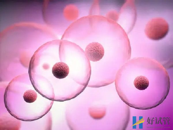 海南省妇幼保健院试管婴儿费用花销(图2) 不孕能在海南省妇幼保健院做试管