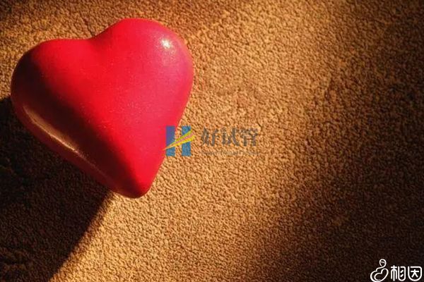 脱单率最好的生肖有这三个,属羊女有吉星红鸾相助(图2) 兔年生肖马感情运势会变顺