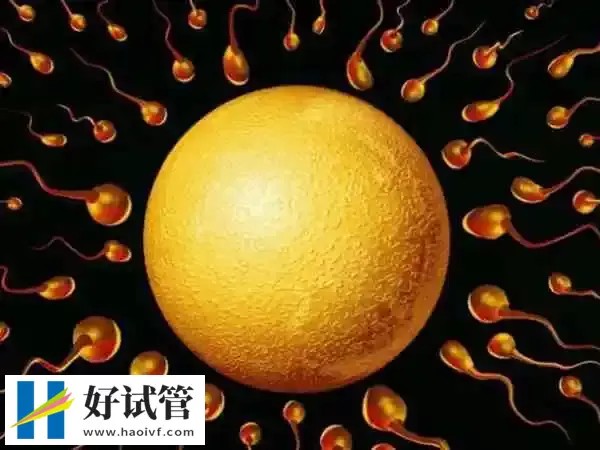 阳江试管婴儿费用多少(图1) 试管费用是一个普通的家庭可以接受的