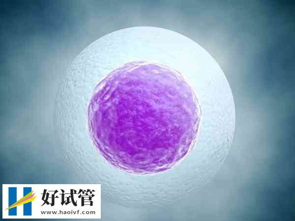 上海九院供卵试管婴儿费用并不高,二代助孕6万起(图1) 上海九院能供卵