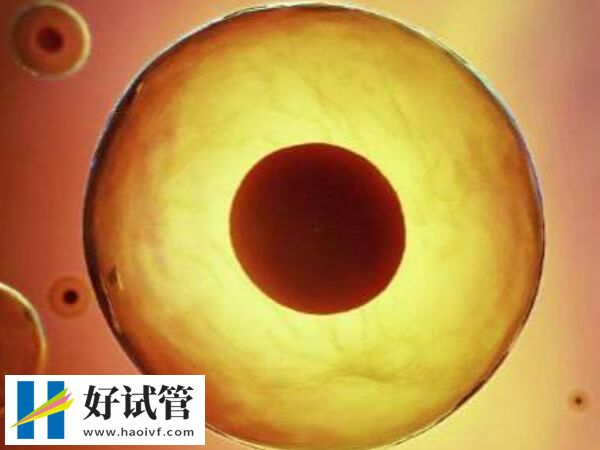 揭秘株洲市中心医院供卵试管婴儿费用,3项目收费四万起(图1) 供卵试管申请要排队等待