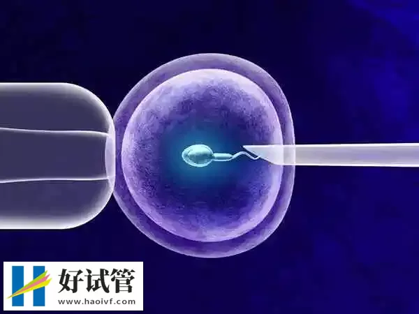 黔东南试管婴儿雌激素低怎么办(图1) 雌激素低要及时调整