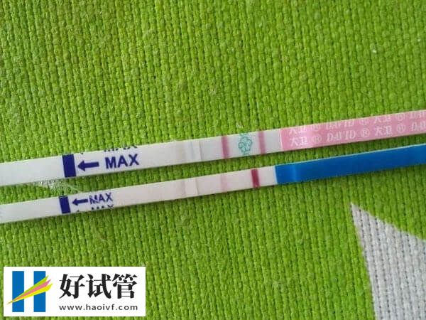 黔东南试管婴儿的专业术语有哪些(图4) 中队长也叫双杠红