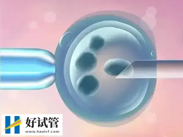 马来西亚第三代试管婴儿优势有哪些?NGS筛查准确率可达99%(图3) 马来西亚第三代试管婴儿优势有哪些?NGS筛查准确率可达99%(图3)