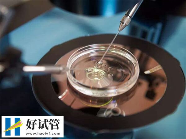 内蒙古附院与西安唐都医院哪个好?附试管婴儿技术对比(图1) 内蒙古附院与唐都都是正规试管婴儿医院