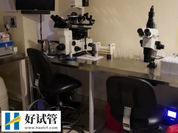 盘点在乌克兰做试管婴儿的好处,详细助孕过程附上(图1) 乌克兰做试管有什么好处