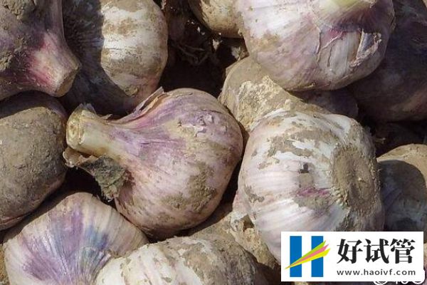 取卵后医生谈话谈啥、谈多久看这,专家:时间越久暗示...(图1) 取卵后有注意事项