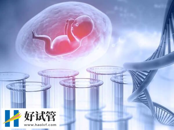 大连试管婴儿专家哪个好(图1) 大连做试管婴儿选马瑶医生好