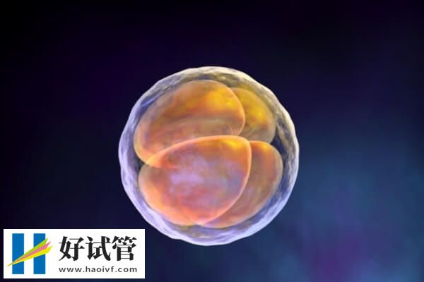 扬州哪个试管专家好(图2) 扬州各医生试管婴儿成功率