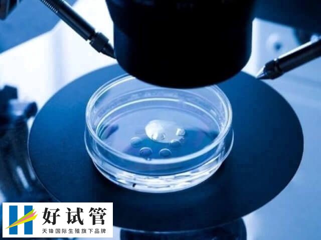 染色体会引起胚胎发育缺陷