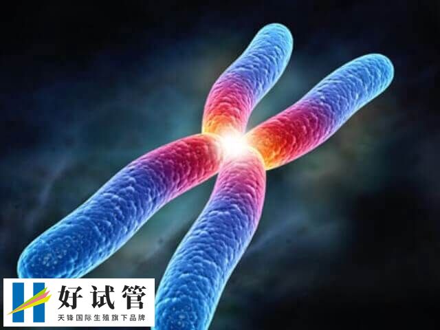 染色体检查收费差异大