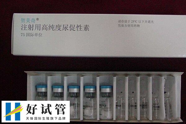 贺美奇能促进卵泡生长