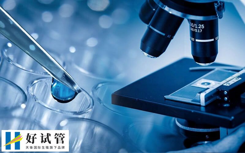 试管婴儿长方案的流程步骤