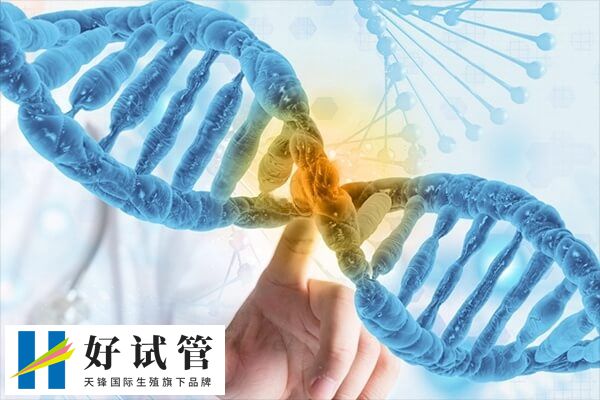 基因检测可预防疾病发生