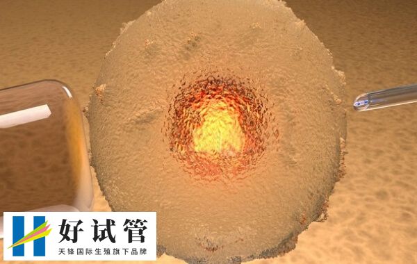 三代试管PGD技术检测是否必须养囊(图2) 三代试管不管是养囊还是筛查都难