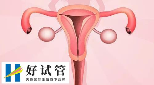 第三代试管婴儿微刺激项目适合哪些人?(图1) 第三代试管婴儿微刺激项目适合哪些人?(图1)