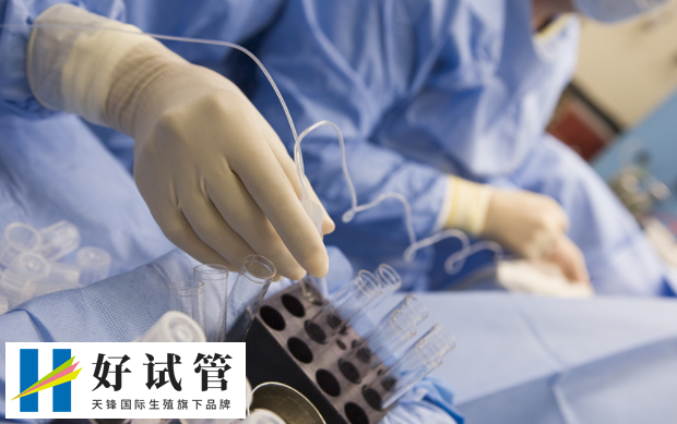 三代试管婴儿可以检测三倍体吗?附成功率和费用(图1) 三代试管婴儿可以检测三倍体吗?附成功率和费用(图1)