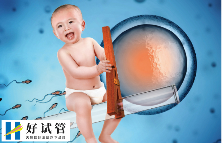 三代试管婴儿可以用于二胎唐氏综合症婴儿吗?(图1) 三代试管婴儿可以用于二胎唐氏综合症婴儿吗?(图1)