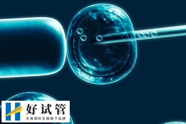 女性的免疫系统异常会影响着床率