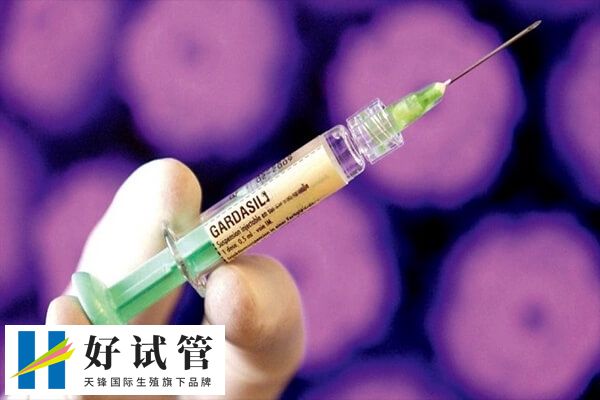 降调成功后就可以打促排卵针了