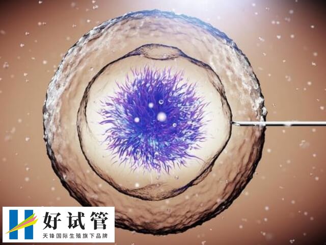 胚胎4ac和4bb哪个好点(图2) 移植胚胎4ac的成功率约40%