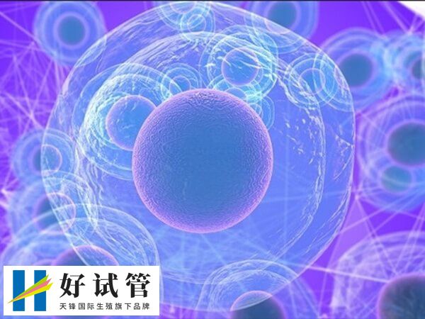 卵子成熟度差会导致受精失败