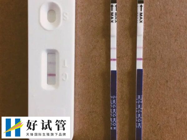 鲜胚移植后12天hcg低如何调理(图2) 鲜胚移植后12天hcg低怀孕几率低