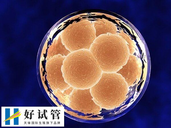 冻胚移植前要进行内膜准备