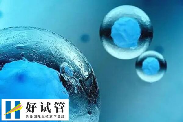 5天囊胚和3天鲜胚有哪些区别(图1) 鲜胚和囊胚的发育阶段不同