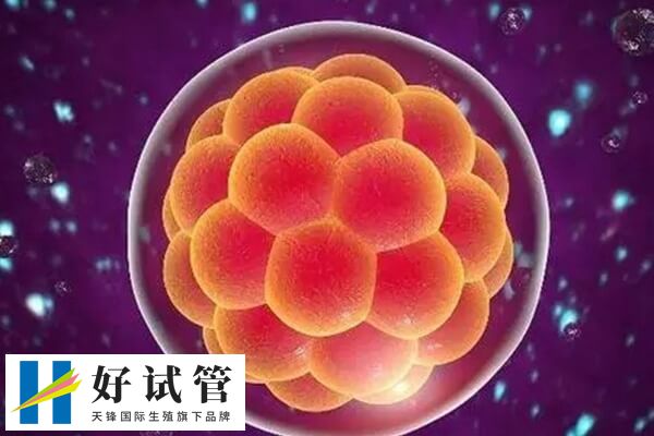 囊胚移植成功后腹部可能会有轻微的隐痛