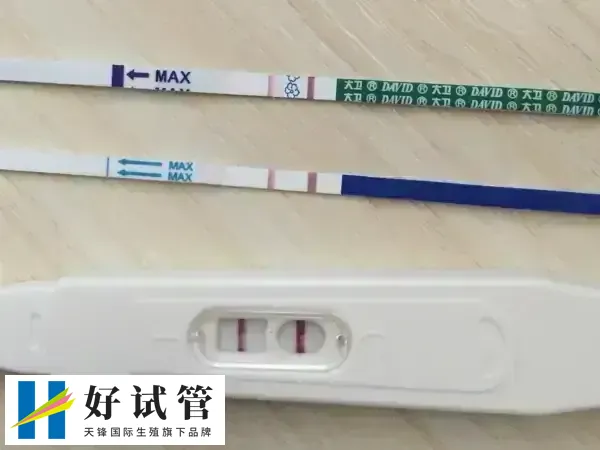 胚胎移植失败了为什么用试纸测出怀孕(图2) 验孕棒过期会影响其准确性