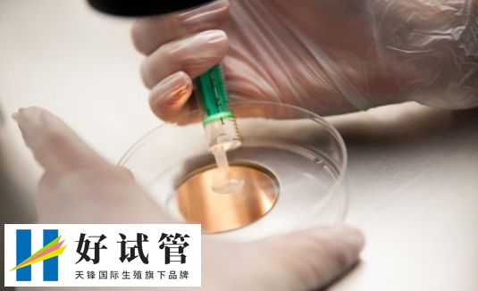 佛山哪家医院做试管婴儿成功率比较高?(图1) 佛山哪家医院做试管婴儿成功率比较高?(图1)