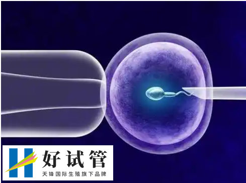 移植后症状个体有差异